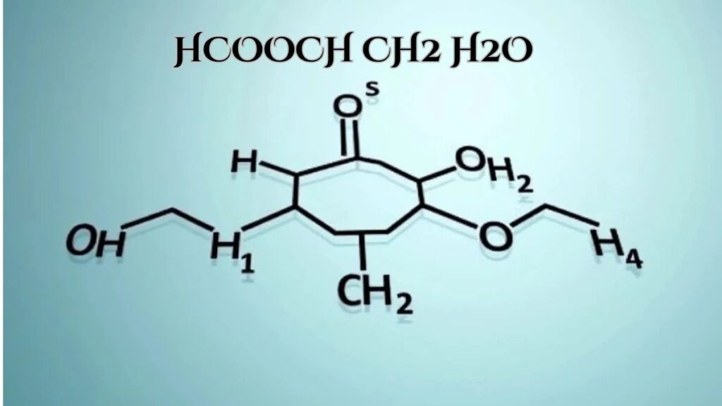What Does the Formula Stand For?