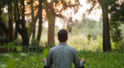 getwildfulnessed.com# – Exploring Nature, and Community!