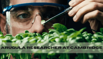 arugula researcher at cambridge