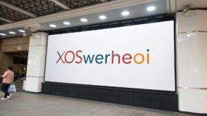 Unique Features of Xoswerheoi