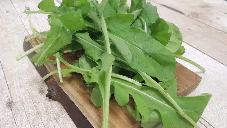 Exploring the Role of arugula researcher at cambridge