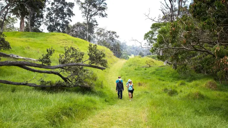 getwildfulnessed.com# – Exploring Nature, and Community!