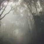kat pungdumri - A Name of Mystery and Imagination