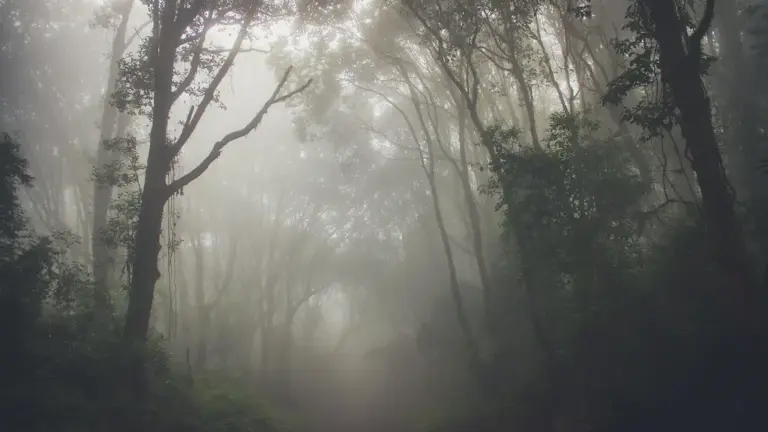 kat pungdumri - A Name of Mystery and Imagination