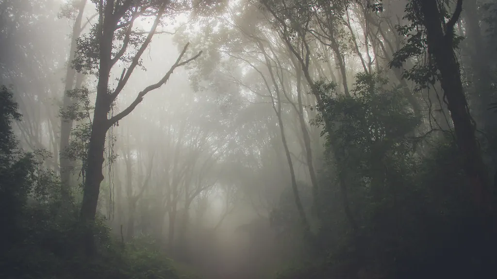 kat pungdumri - A Name of Mystery and Imagination