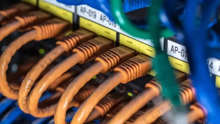 Rivenisnet – The Future of Digital Networking!