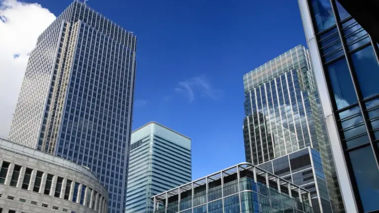 Tomirvibum Ltd – Pioneering Future of Business Solutions!